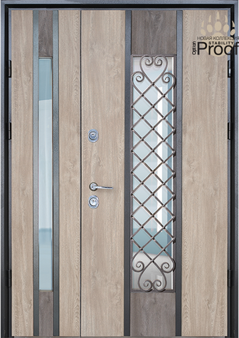 Входные двери Straj Proof 1.5 Classe Rio 0065 фото | Straj