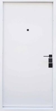 Входные двери Straj Matrix 3331 фото | Straj
