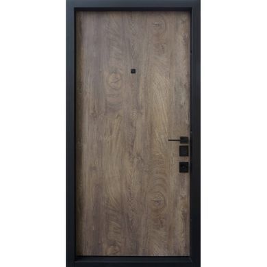 Вхідні двері STRAJ LUX Prestige Terra S New 3000 фото | Straj