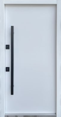 Входные двери STRAJ Stability Hardy Loft 3059 фото | Straj